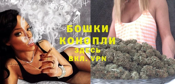 ГАЛЛЮЦИНОГЕННЫЕ ГРИБЫ Каменка